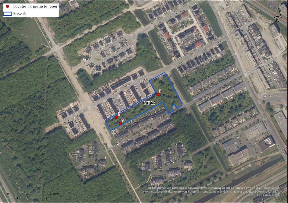 Luchtfoto van de situatie sprietzeil en het betreffende bosvak